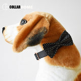 1.5M Nylon dog leash adjustable buckles free engrave bow tie dog collar for small big dog labrador pet puppy collar leash straps