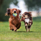 1 Set Dog Chewing Toys Set Chew Toys Gift Set Pet Rope Flying Discs Toy Durable Braided Bone Chewing Training Toys Rope 5-10 pcs