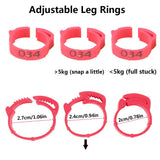 100PCS Chicken Leg Ring Adjustable Poultry Leg Buckle Digital Label Ring for Chicken Duck Pigeon Poultry Farming Distinction 20E