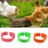 100PCS Chicken Leg Ring Adjustable Poultry Leg Buckle Digital Label Ring for Chicken Duck Pigeon Poultry Farming Distinction 20E