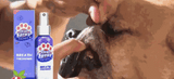 Pet Atem Lufterfrischer Spray Hund Zähne Reiniger Frische Atem Mundwasser ungiftig Gesunde Zahnpflege Drop Verschiffen - app80
