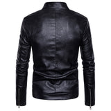 Men's Daily Street chic Winter Regular Jacket, Color Block Stand Long Sleeve Polyester Brown / Black