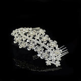 Rhinestone / Alloy Hair Combs with 1 Wedding Headpiece