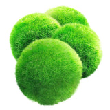 2-4cm Mini Aquarium Plant Fish Tank Shrimp Nano For MARIMO Premium Quality MOSS BALLS Fish Tank Ornament Decoration