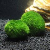 2-4cm Mini Aquarium Plant Fish Tank Shrimp Nano For MARIMO Premium Quality MOSS BALLS Fish Tank Ornament Decoration