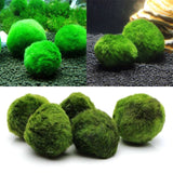 2-4cm Mini Aquarium Plant Fish Tank Shrimp Nano For MARIMO Premium Quality MOSS BALLS Fish Tank Ornament Decoration