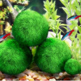 2-4cm Mini Aquarium Plant Fish Tank Shrimp Nano For MARIMO Premium Quality MOSS BALLS Fish Tank Ornament Decoration