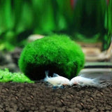 2-4cm Mini Aquarium Plant Fish Tank Shrimp Nano For MARIMO Premium Quality MOSS BALLS Fish Tank Ornament Decoration