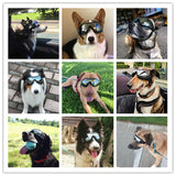 2019 New Dog Sunglasses Windproof Anti-breaking Pet Goggles Eye Wear Protection Goggles Sun-resistant Dog Glasses