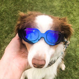 2019 New Dog Sunglasses Windproof Anti-breaking Pet Goggles Eye Wear Protection Goggles Sun-resistant Dog Glasses Accessaries