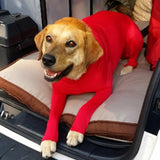 2019 Pet Post Surgery Suit After Dog Operation beneficial  Licking Reduce The Spread Of Fleas To Wound Recovery Prevent Pet