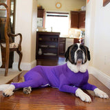 2019 Pet Post Surgery Suit After Dog Operation beneficial  Licking Reduce The Spread Of Fleas To Wound Recovery Prevent Pet