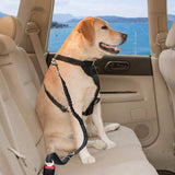 2pcs Elastic Pet Belt Pet Seat Belt Dog Cat Lead Leash for Small Medium Dogs Travel Clip Black Adjustable Harness Safe Seatbelt