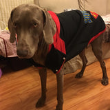 Winter Pet Dog Clothes for Small Medium Large Dogs Golden Retriever Labrador Coat Puppy Big Dog Hoodie Jacket Dogs Pets Clothing