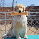 8 inch Compressed Rawhides Dog Bones Dog Puppy Chewing Snack Food Treats Teething Toy Bone Shape Dog Toys Pet Supplies