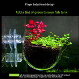 Aquarium Seeds Water Grass Pots Easy Aquatic Live Plant Fish Tank Decoration Landscape Ornament