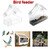 Bird Feeders Transparent Sucker Economic Birdhouse Bird Feeder Window Plastic Pet Feed Gardens Foods Outdoors Creative