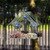 Bird Feeders Transparent Sucker Economic Birdhouse Bird Feeder Window Plastic Pet Feed Gardens Foods Outdoors Creative