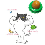 Cat Cat Sugar Solid Nutrition Energy Ball Green Bottom Pet Food Snack Ball