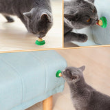 Cat Cat Sugar Solid Nutrition Energy Ball Green Bottom Pet Food Snack Ball