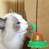 Cat Cat Sugar Solid Nutrition Energy Ball Green Bottom Pet Food Snack Ball
