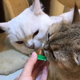 Cat Cat Sugar Solid Nutrition Energy Ball Green Bottom Pet Food Snack Ball