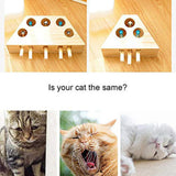 Cat Toys Pet Indoor Solid Wooden Cat Hunting Toy Interactive 3/5-holed Mouse Seat Scratch Interactive Cats Play Toy Best Gift