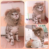 Cute Pet Lion Hair Mane Ears Head Wig Cap Funny Dog Cat Halloween Party Cosplay Warm Hat Scarf Fancy Winter Costume Pet Supplies