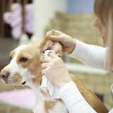 Dog Cat Ear Clean Powder Health Care Ear Fresh Grooming Ear Powder Pet Ear Care Supplies