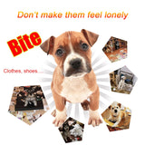 Dog Toys Interactive Natural Rubber Ball Cat Puppy Chew Toy Food Dispenser Ball Bite-Resistant Clean Teeth Pet Playing Ball5/7CM