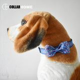 Dog collar with bow tie for small medium dog Mermaid Chihuahua pet collar traction rope cat puppy necklace straps leash