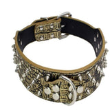 Dog rivet collar personalized custom leather dog collar for medium large dogs
