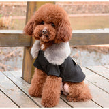 Elegant Small Dog Coat Winter Puppy Dog Clothes with Fur Collar Soft Warm Puppy Jacket Chihuahua Yorkie Clothing S,M,L,XL,XXL