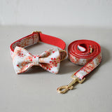 Engraved bow collar leash set handmade soft dog collar Chihuahua training rope walk the dog cat pet straps christmas decoration
