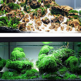 Fish Tank Landscaping Moss Ball Moss Glue Stick Water Grass Aquarium Decoration Mucilage Glues Fish Tank Repair Tools