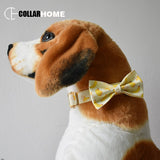 Free engrave Nylon personalized banana design bowknot dog collar leash with bow tie traction rope for small big dogs pet collar