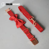 Free engrave metal buckle personalized dog collar pet leash adjustable necklace for small medium large dog factory price 4 Sizes