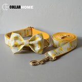 Free engrave name ID nylon dog collar leash with bow tie banana design gold metal buckles adjustable pet supplies Christmas gift