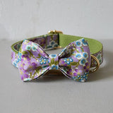 Free engrave nylon bow dog collar leash for big small dog fabric collar with gold metal buckle bow tie pet collar rope straps