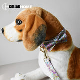 Free engrave nylon bow dog collar leash for big small dog fabric collar with gold metal buckle bow tie pet collar rope straps