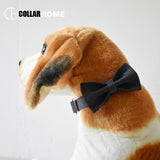 Free engrave soft dog collar leads puppy pet leash bow tie for small medium large dog labrador collar Christmas gift bowknot