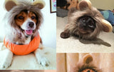 Funny Cute Pet Lion Mane Costume Autumn Winter Wig Cap Hat for Cat Halloween Xmas Cosplay Clothes Fancy Dress with Ears S-L