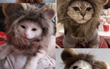 Funny Cute Pet Lion Mane Costume Autumn Winter Wig Cap Hat for Cat Halloween Xmas Cosplay Clothes Fancy Dress with Ears S-L