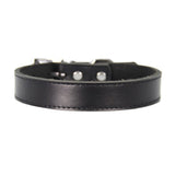 Genuine Leather Dog Collar Adjustable Chihuahua Small Dog Cat Collar Neck Buckle Leather Lead collar perro petshopXS-XL
