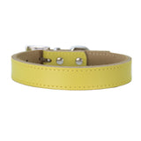 Genuine Leather Dog Collar Adjustable Chihuahua Small Dog Cat Collar Neck Buckle Leather Lead collar perro petshopXS-XL