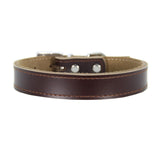 Genuine Leather Dog Collar Adjustable Chihuahua Small Dog Cat Collar Neck Buckle Leather Lead collar perro petshopXS-XL