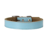 Genuine Leather Dog Collar Adjustable Chihuahua Small Dog Cat Collar Neck Buckle Leather Lead collar perro petshopXS-XL