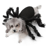 Halloween Dogs Cats Pet Cosplay Spider Clothes Pet  Costume For Dog Cat Spider Bat Festival Party Role Play Dressing Up Clothes