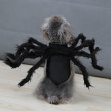 Halloween Dogs Cats Pet Cosplay Spider Clothes Pet  Costume For Dog Cat Spider Bat Festival Party Role Play Dressing Up Clothes