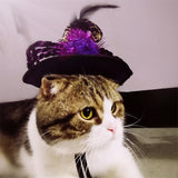 Halloween Pet Supplies Pet Dog and Cat Ornaments Halloween Pet Spider Hat Wizard Transfomation Cap